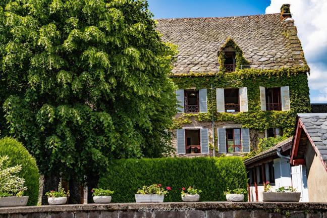 Les Tilleuls Besse-et-Saint-Anastaise Kültér fotó
